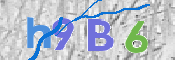 CAPTCHA (Şahıs Denetim Kodu) Resmi