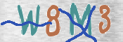 CAPTCHA (Şahıs Denetim Kodu) Resmi