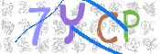 CAPTCHA (Şahıs Denetim Kodu) Resmi