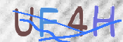 CAPTCHA (Şahıs Denetim Kodu) Resmi