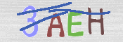 CAPTCHA (Şahıs Denetim Kodu) Resmi