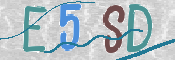 CAPTCHA (Şahıs Denetim Kodu) Resmi