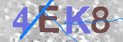 CAPTCHA (Şahıs Denetim Kodu) Resmi