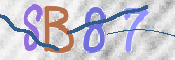 CAPTCHA (Şahıs Denetim Kodu) Resmi