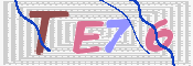 CAPTCHA (Şahıs Denetim Kodu) Resmi