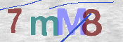 CAPTCHA (Şahıs Denetim Kodu) Resmi