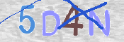 CAPTCHA (Şahıs Denetim Kodu) Resmi