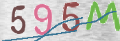 CAPTCHA (Şahıs Denetim Kodu) Resmi