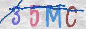 CAPTCHA (Şahıs Denetim Kodu) Resmi
