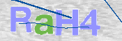 CAPTCHA (Şahıs Denetim Kodu) Resmi