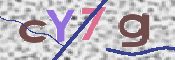 CAPTCHA (Şahıs Denetim Kodu) Resmi