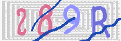 CAPTCHA (Şahıs Denetim Kodu) Resmi