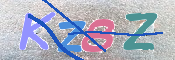 CAPTCHA (Şahıs Denetim Kodu) Resmi
