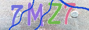 CAPTCHA (Şahıs Denetim Kodu) Resmi