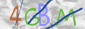 CAPTCHA (Şahıs Denetim Kodu) Resmi