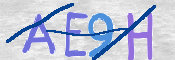 CAPTCHA (Şahıs Denetim Kodu) Resmi