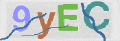 CAPTCHA (Şahıs Denetim Kodu) Resmi
