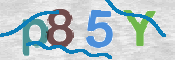 CAPTCHA (Şahıs Denetim Kodu) Resmi