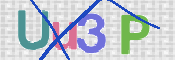 CAPTCHA (Şahıs Denetim Kodu) Resmi