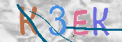 CAPTCHA (Şahıs Denetim Kodu) Resmi