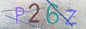CAPTCHA (Şahıs Denetim Kodu) Resmi