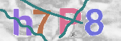 CAPTCHA (Şahıs Denetim Kodu) Resmi