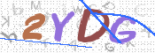 CAPTCHA (Şahıs Denetim Kodu) Resmi