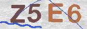 CAPTCHA (Şahıs Denetim Kodu) Resmi