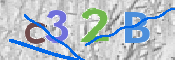 CAPTCHA (Şahıs Denetim Kodu) Resmi