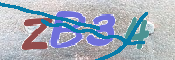 CAPTCHA (Şahıs Denetim Kodu) Resmi