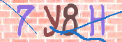 CAPTCHA (Şahıs Denetim Kodu) Resmi