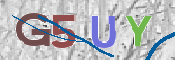 CAPTCHA (Şahıs Denetim Kodu) Resmi