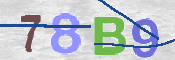 CAPTCHA (Şahıs Denetim Kodu) Resmi