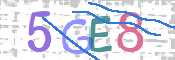CAPTCHA (Şahıs Denetim Kodu) Resmi