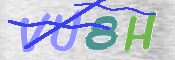 CAPTCHA (Şahıs Denetim Kodu) Resmi