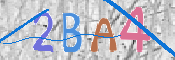 CAPTCHA (Şahıs Denetim Kodu) Resmi