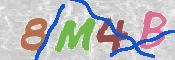 CAPTCHA (Şahıs Denetim Kodu) Resmi