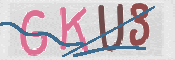 CAPTCHA (Şahıs Denetim Kodu) Resmi