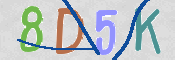 CAPTCHA (Şahıs Denetim Kodu) Resmi