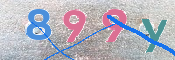 CAPTCHA (Şahıs Denetim Kodu) Resmi