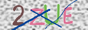 CAPTCHA (Şahıs Denetim Kodu) Resmi