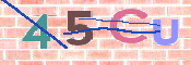 CAPTCHA (Şahıs Denetim Kodu) Resmi