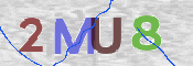 CAPTCHA (Şahıs Denetim Kodu) Resmi