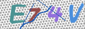 CAPTCHA (Şahıs Denetim Kodu) Resmi