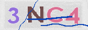CAPTCHA (Şahıs Denetim Kodu) Resmi