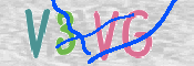 CAPTCHA (Şahıs Denetim Kodu) Resmi