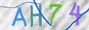CAPTCHA (Şahıs Denetim Kodu) Resmi