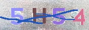 CAPTCHA (Şahıs Denetim Kodu) Resmi