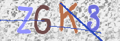 CAPTCHA (Şahıs Denetim Kodu) Resmi