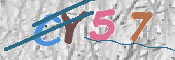 CAPTCHA (Şahıs Denetim Kodu) Resmi